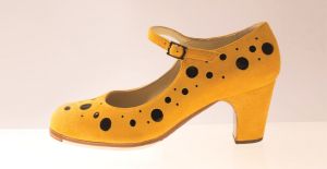Flamenco shoes