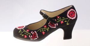 Flamenco shoes