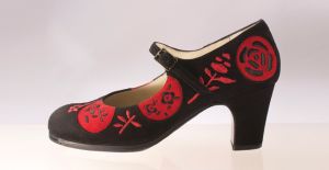 Flamenco shoes